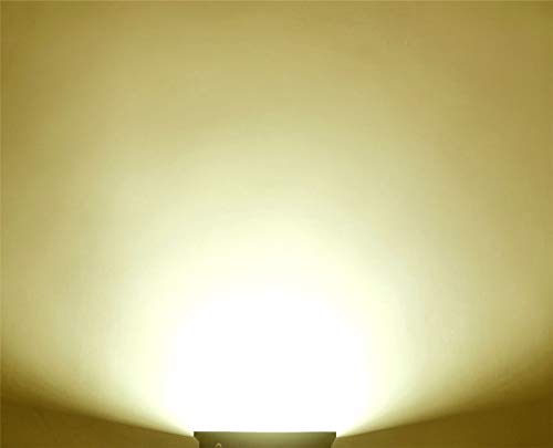 Warm White