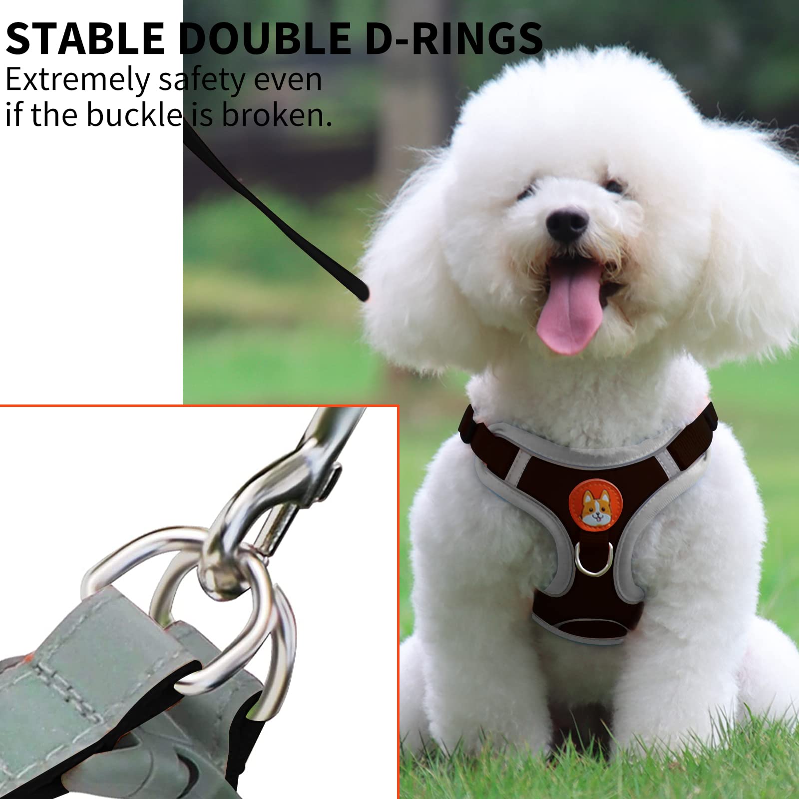 Adjustable No-Pull Dog Harness & Leash Set for Small to Medium Dogs - Reflective Comfort Vest with 2 Leash Clips | Perfect for Walking, Training & Outdoor Adventures
