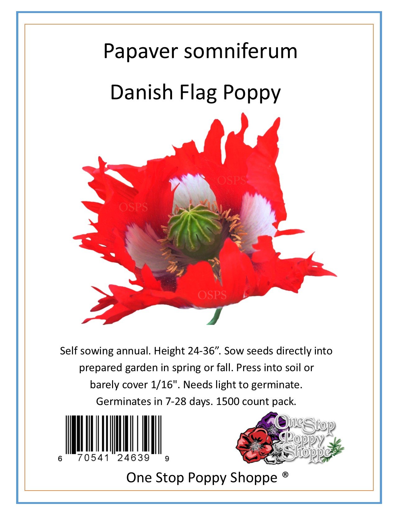 Danish Flag Poppy 1500 Seeds - Papaver Somniferum - Premium Poppy Flower Seeds for Garden Planting, Landscaping & Home Decoration - One Stop Poppy Shoppe® Brand