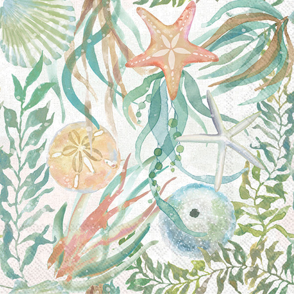 Premium Watercolor Coast Cocktail Napkins - Set of 50 Elegant 5-Ply Paper Napkins for Parties, Weddings & Home Decor - Boston International