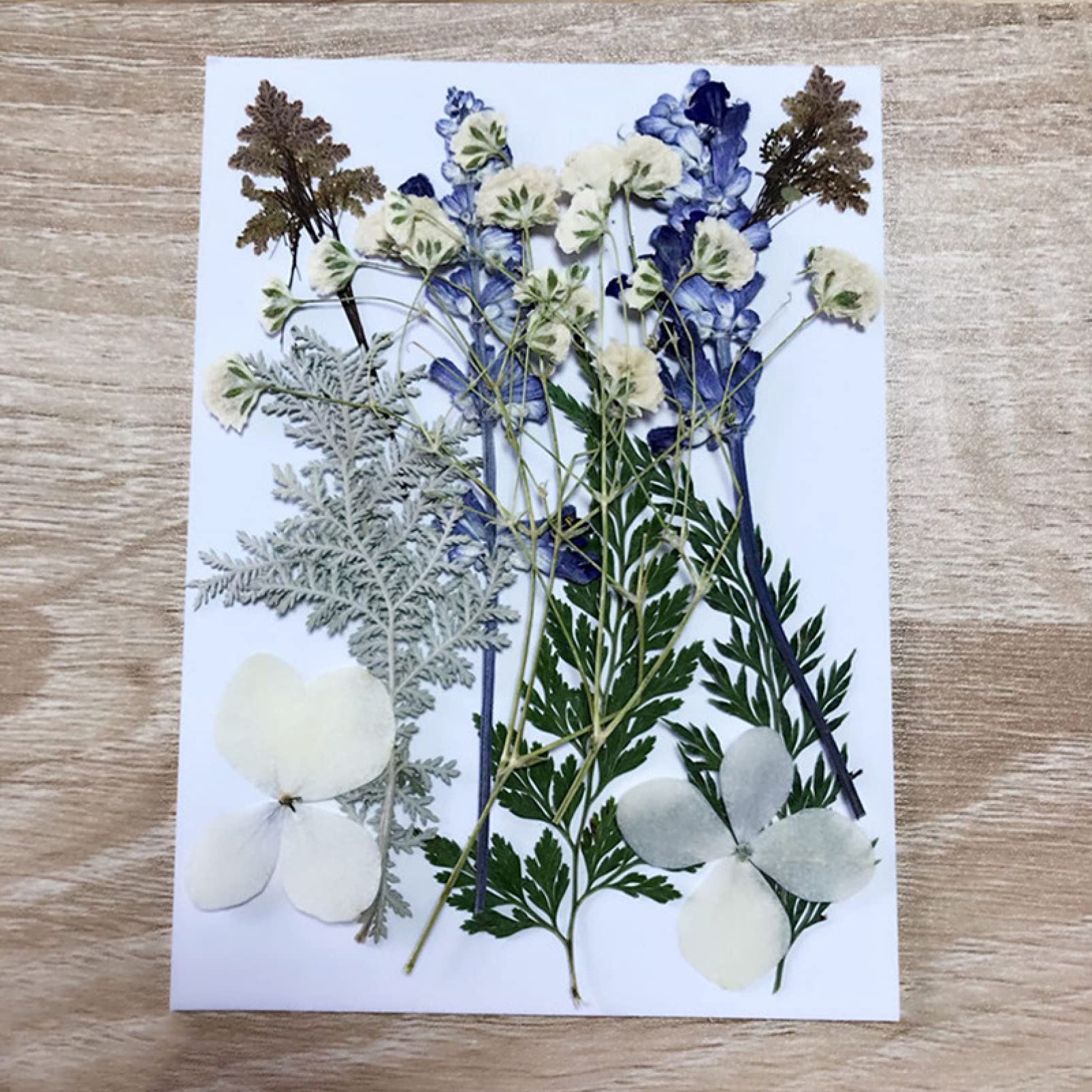 Pressed Flower Mixed Dried Flowers for Aromatherapy Candles, Greeting Cards, Epoxy Resin Crafts & DIY Jewelry Making - Perfect for Home Decor, Wedding Favors, and Handmade Gifts