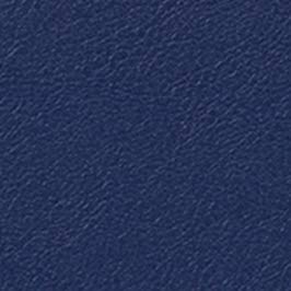 09# Darkblue