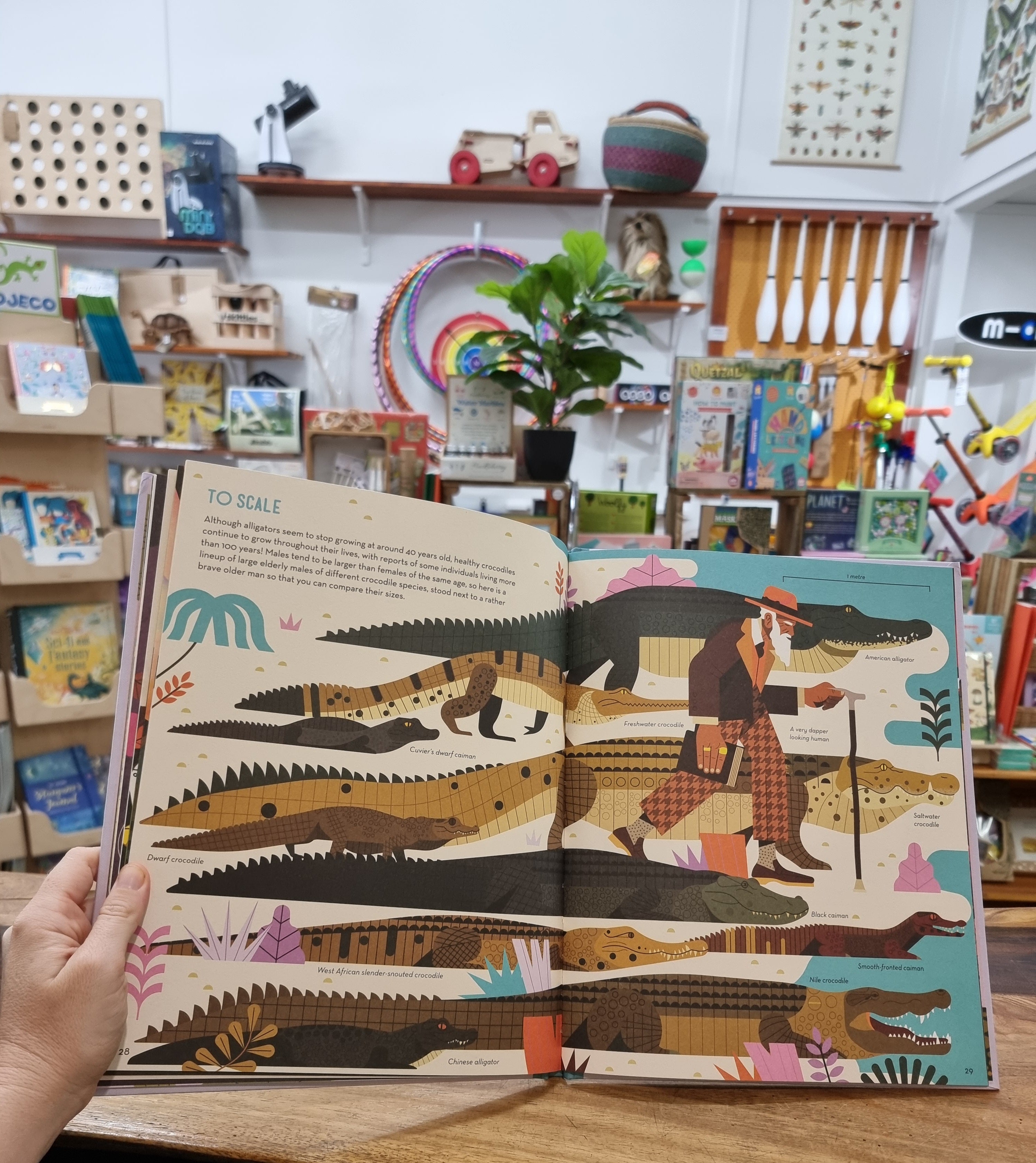 Curious About Crocodiles: Illustrated Animal Book for Kids by Owen Davey - Perfect for Bedtime Stories & Wildlife Education