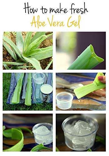 **Leela Organic - Pure Aloe Vera Melt and Pour Soap Base (1KG) - Transparent DIY Handmade Soap Making Supplies for Skin Care, Gifts & Craft Projects**