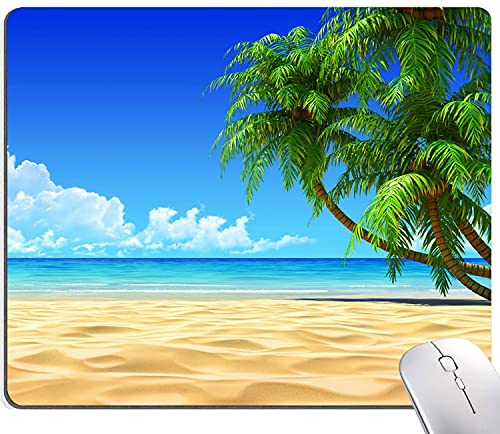 31 Beach