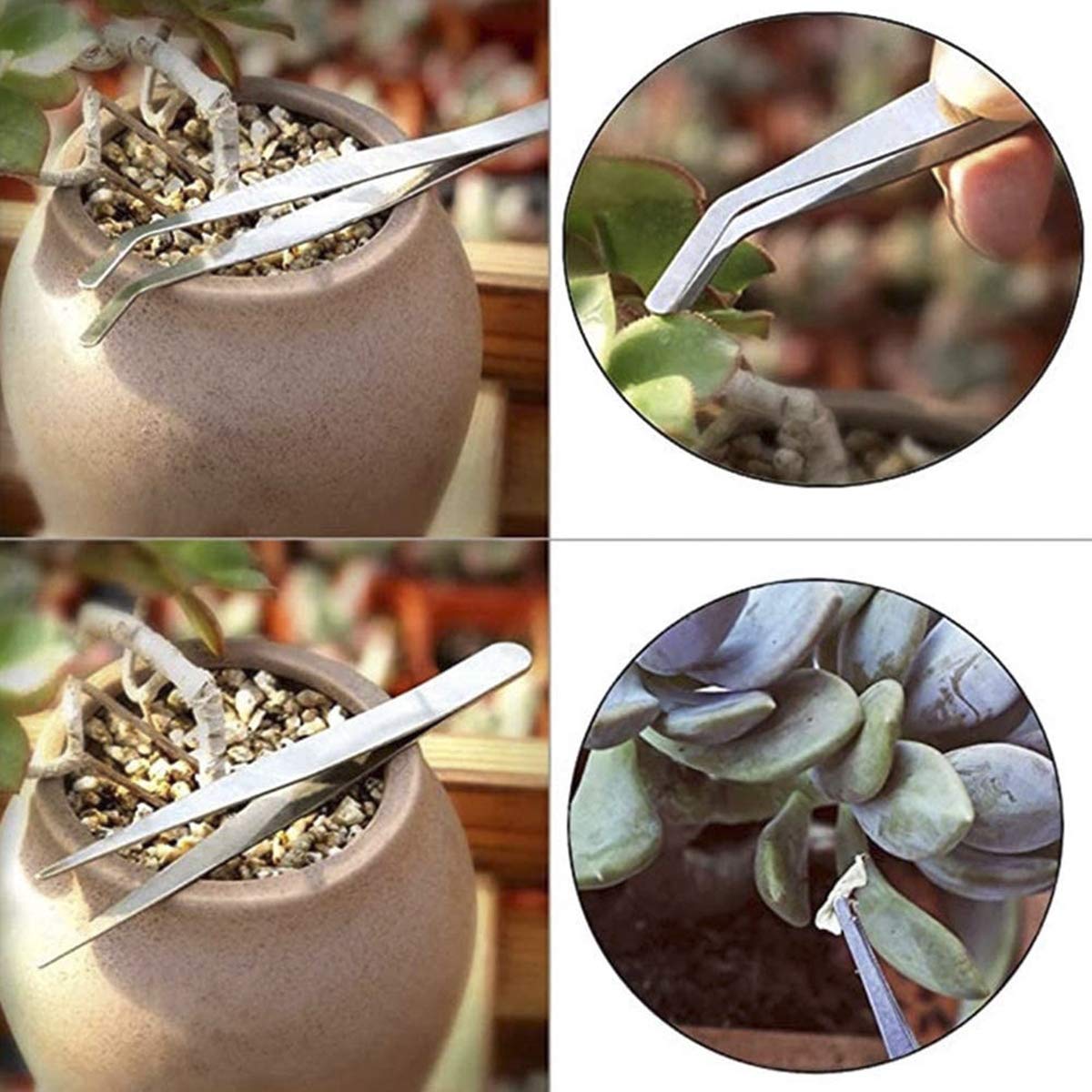 16-Piece Succulent Tool Kit for Indoor Plants & Fairy Gardens