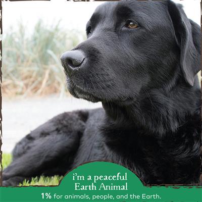 Earth Animal Organic Herbal Remedies for Dogs & Cats - Natural Oral Care Solution for Clean Teeth, Healthy Gums & Fresh Breath (2 oz Bottle) - Perfect for Daily Dental Hygiene & Bad Breath Prevention