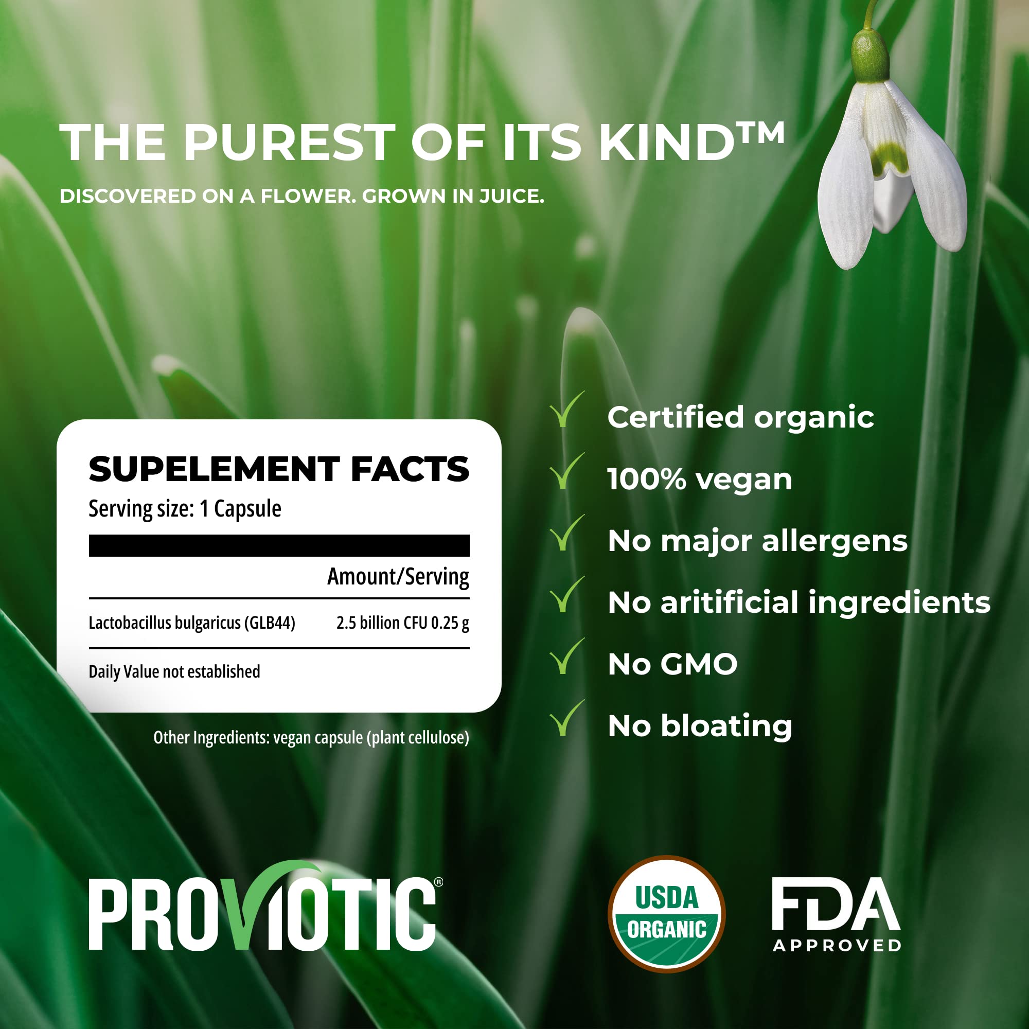 Genesis Proviotic Lactobacillus Vegan Probiotic Supplement - Patented Formula for Digestive Health, Immune Support & Gut Balance - Reduces Bloating for Men & Women (5 Pack) - Ideal for Travel, Daily Wellness & Post-Antibiotic Recovery