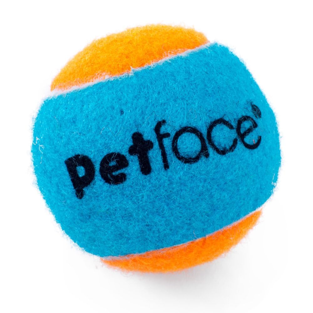 Petface Super Tennis Balls for Dogs - Durable Chew-Proof Fetch Toy for Large & Small Breeds - Perfect for Outdoor Play, Training & Exercise