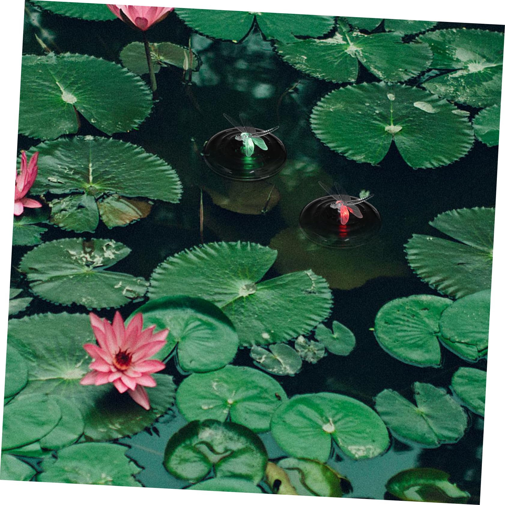 OSALADI 2-Pack Solar Dragonfly Lights - Waterproof Outdoor Solar Lanterns for Pool, Garden, Patio & Yard Decor | Decorative Solar-Powered Landscape Lighting for Pathways, Walkways & Backyard Ambience