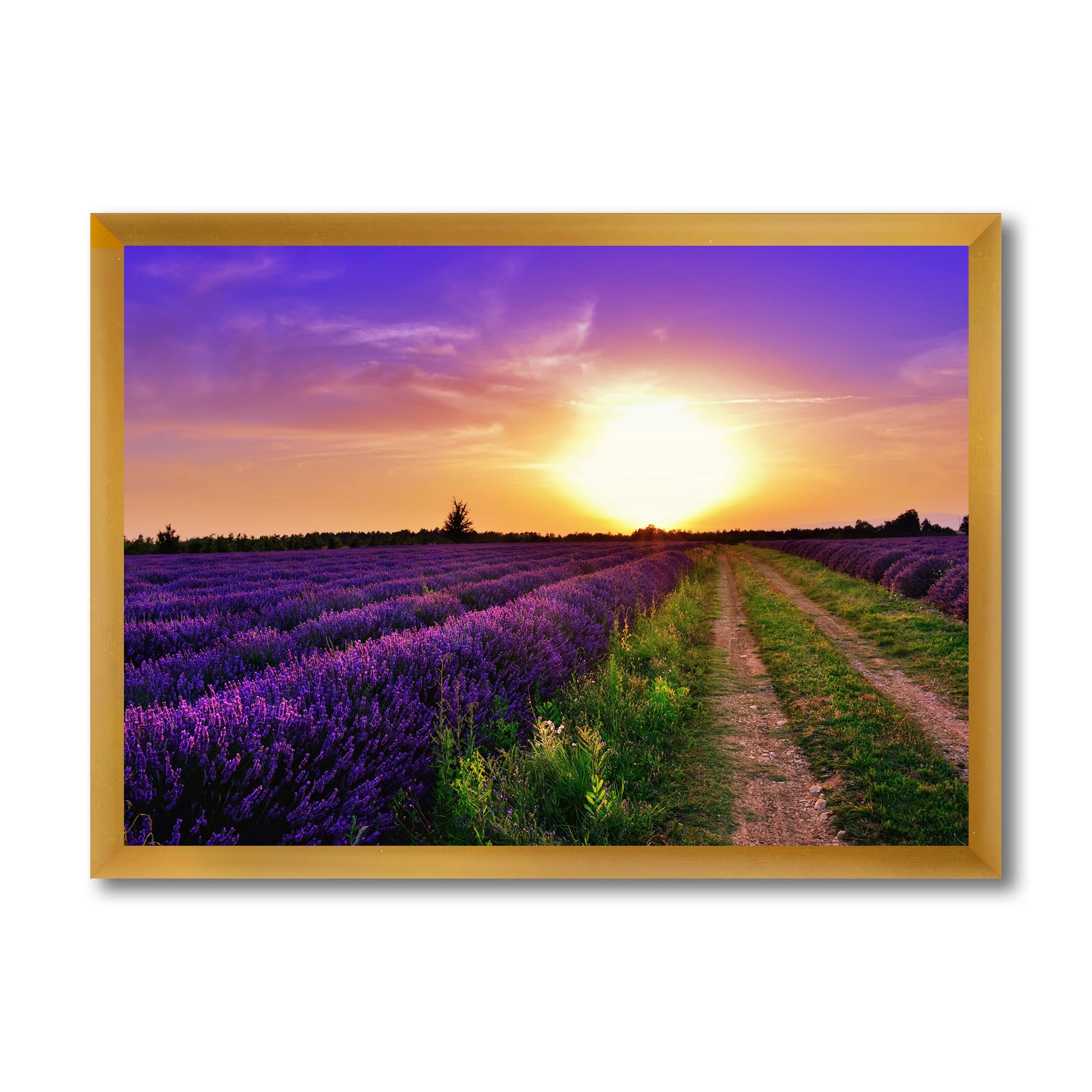 Lavender Field At Dawn II - Farmhouse Framed Wall Art Painting - Countryside Home Decor for Living Room, Bedroom & Office