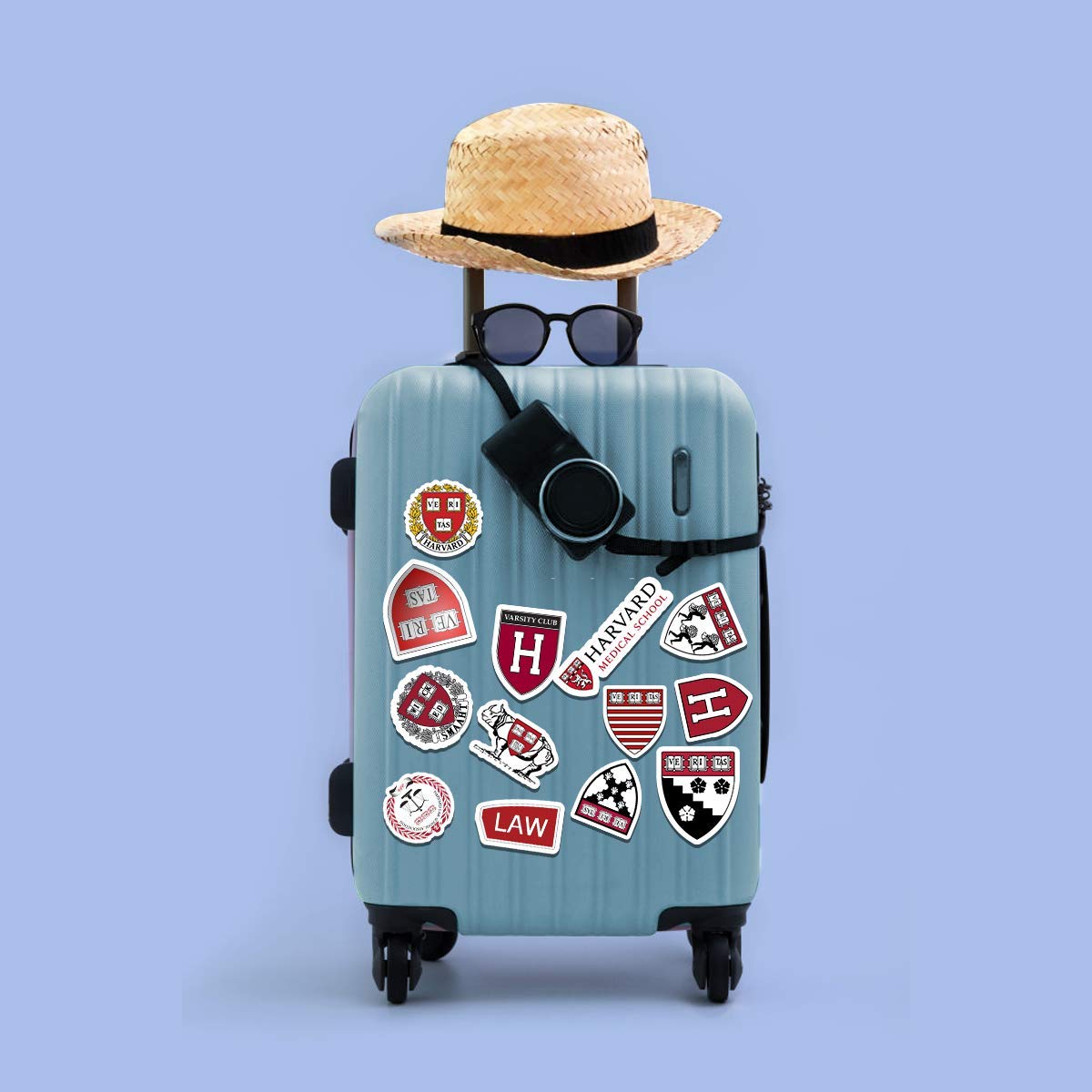 20 PCS Harvard Aesthetic Law Stickers - Colorful Vinyl Waterproof Decals for Water Bottles, Laptops, Scrapbooking, Luggage, Skateboards | Perfect for School, Office, Travel & DIY Projects