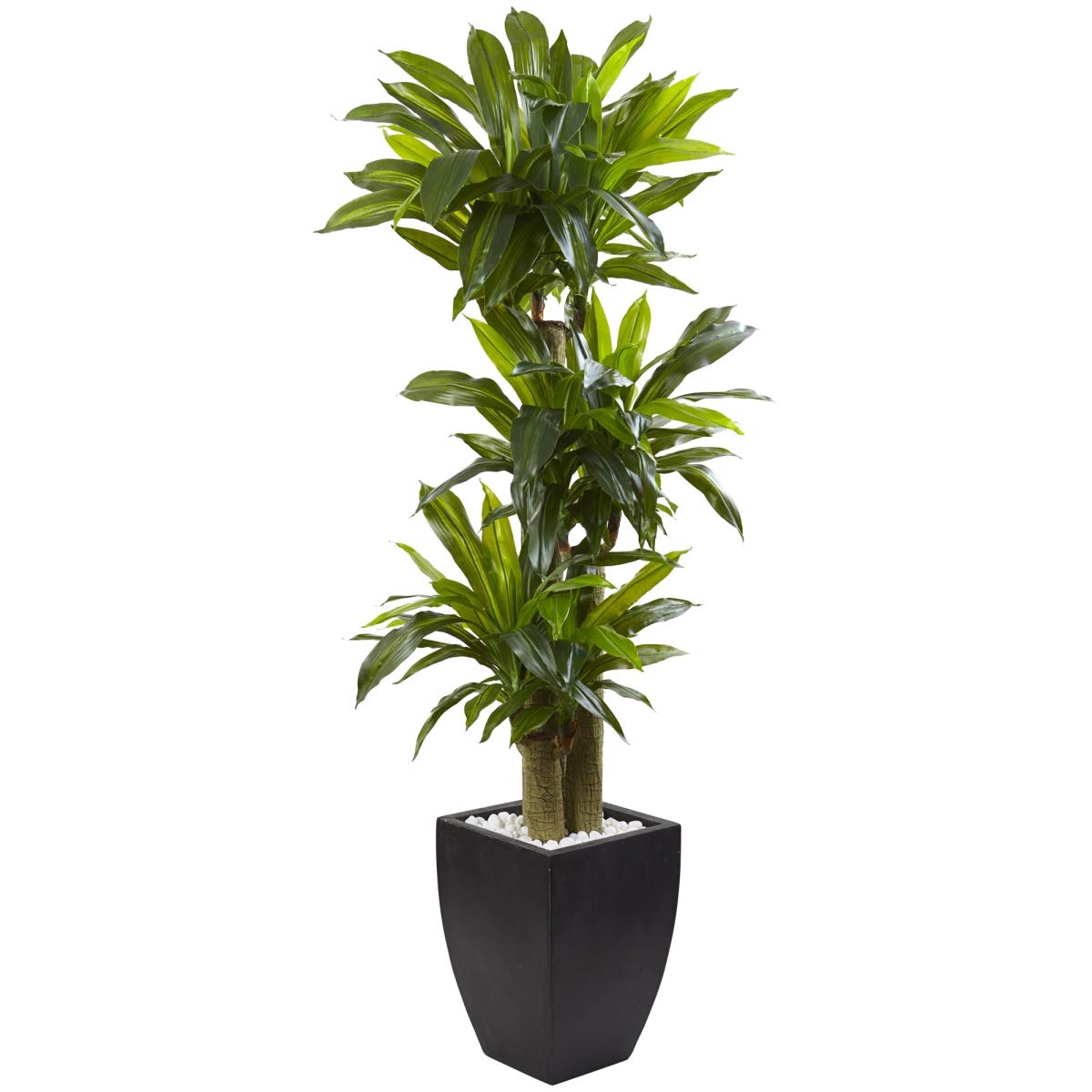 5.5 ft. Corn Stalk Dracaena Artificial Plant in Black Wash Planter - Tall Indoor Fake Tree for Home Office Decor, Living Room, Bedroom & Commercial Spaces