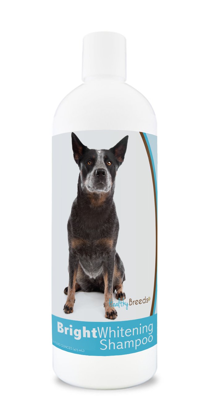 Healthy Breeds Australian Cattle Dog Bright Whitening Shampoo 12 oz - Gentle Whitening & Brightening Formula for White Coats - Perfect for Bathing, Grooming & Show Preparation
