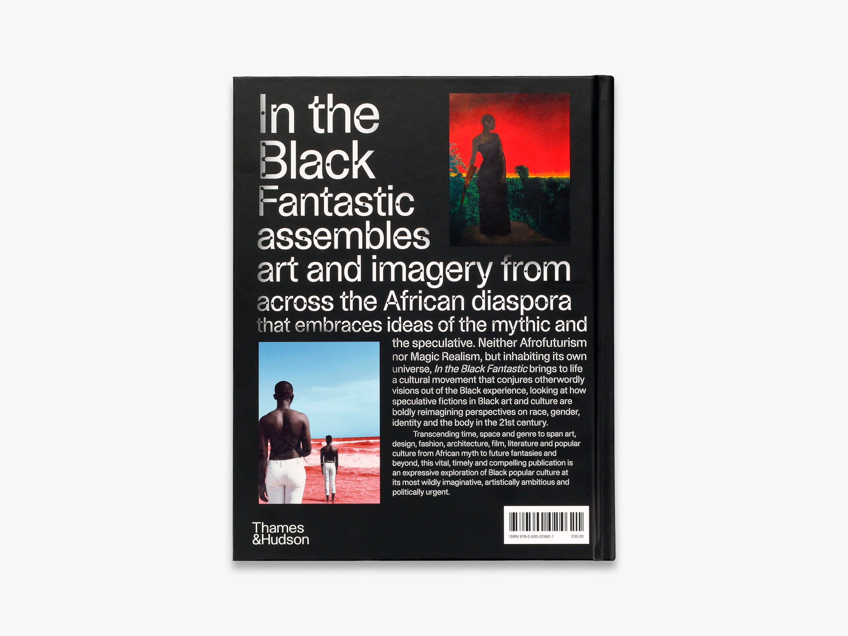 In the Black Fantastic - Contemporary Art Book Exploring Afrofuturism & Black Culture | Perfect for Art Lovers, Collectors & Cultural Studies