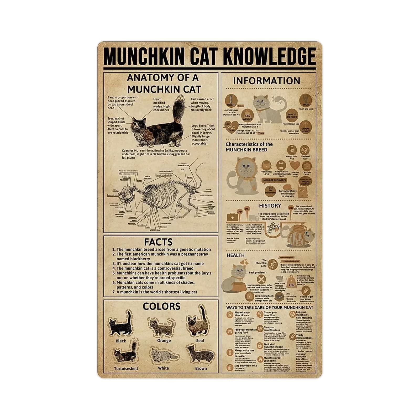Munchkin Cat Infographic Metal Tin Sign - 16x24 Inch Cat Encyclopedia Wall Decor for Home, Club & Room | Perfect for Cat Lovers & Pet House Decor