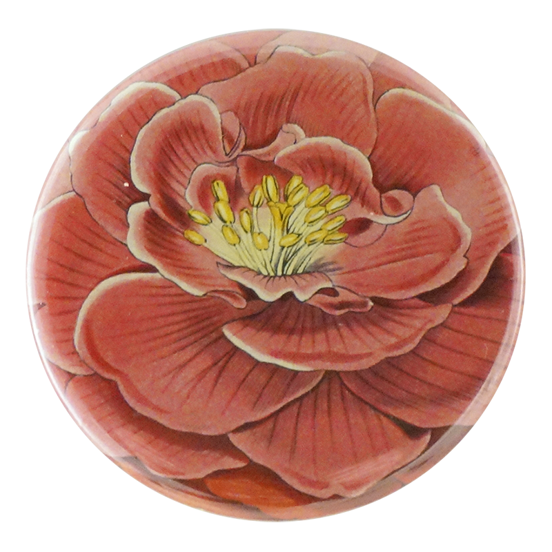Camellia Flower PNG Images - High-Quality Transparent Background for Digital Art, Scrapbooking, and Wedding Invitations