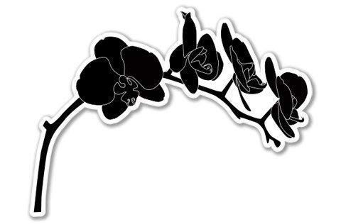 Carframes18 Orchids Black Vinyl Sticker - Waterproof Decal for Car Window, Bumper, Laptop | Perfect for Personalizing Vehicles, Electronics & DIY Projects