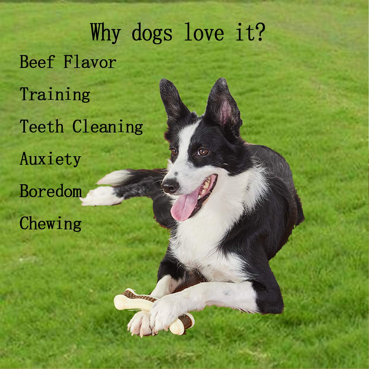Durable Indestructible Dog Chew Toys for Aggressive Chewers - 2 Pack Beef Flavor Nylon Chew Bones for Large, Medium & Small Breed Puppies - Perfect for Teething, Boredom Relief & Dental Health