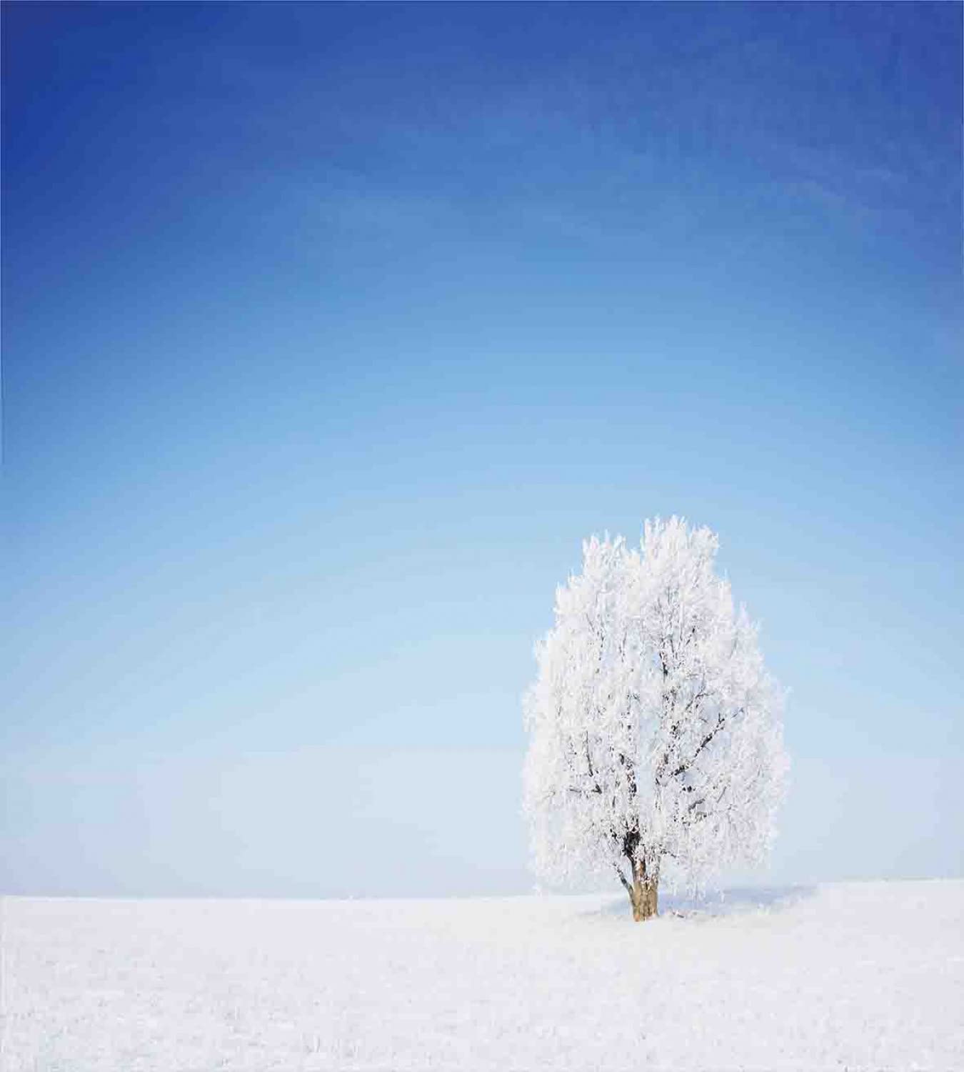 Ambesonne Winter Duvet Cover Set - Snowy Tree Landscape Design for Cold Weather, 2-Piece Twin Size Bedding Set with 2 Duvet Covers & 2 Pillowcases, White and Blue - Perfect for Cozy Winter Nights, Guest Rooms, and Cabin Retreats
