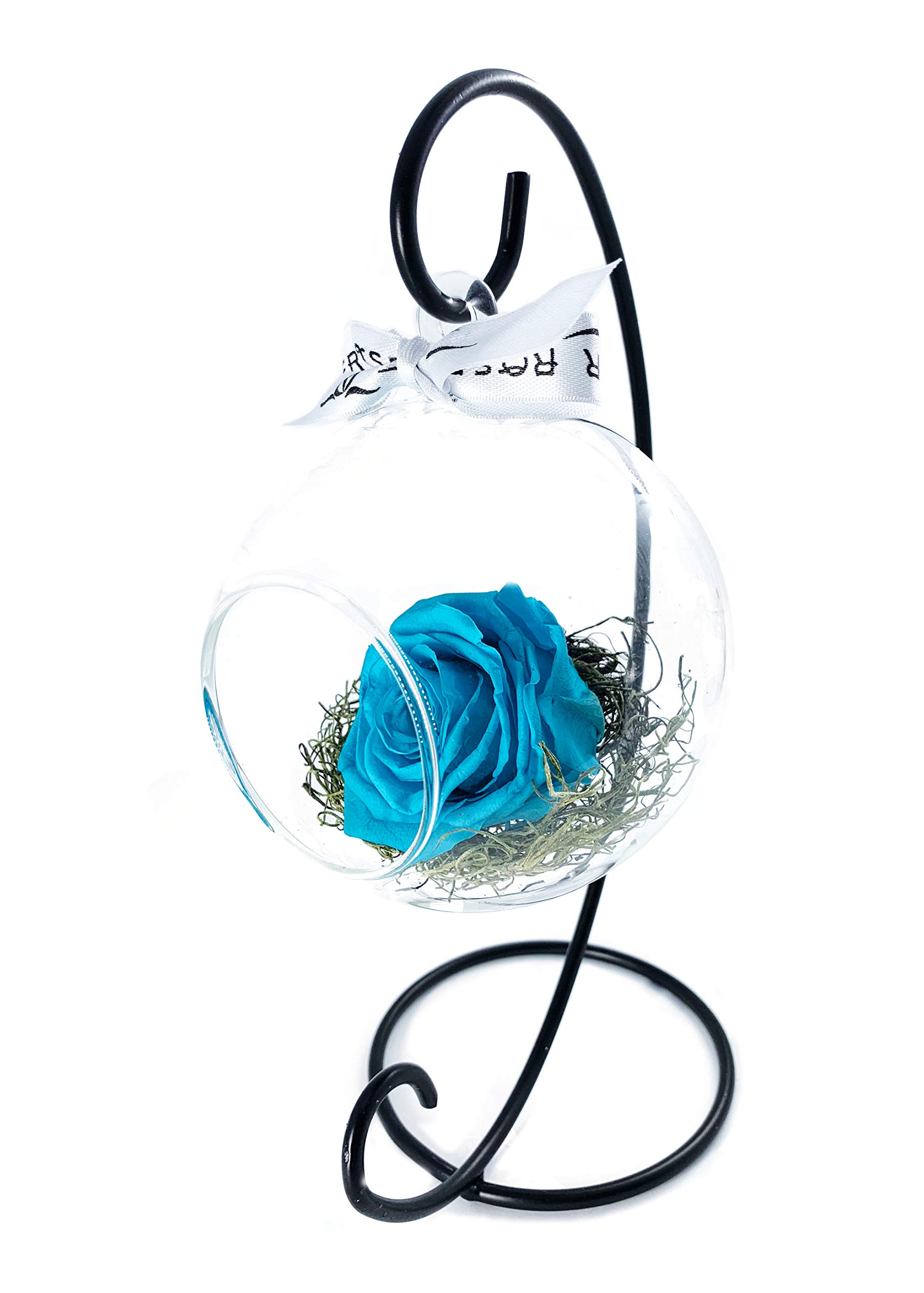 Real Natural Rose in Glass Globe Terrarium - Light Blue - Perfect for Home Decor, Wedding Centerpieces & Unique Gifts