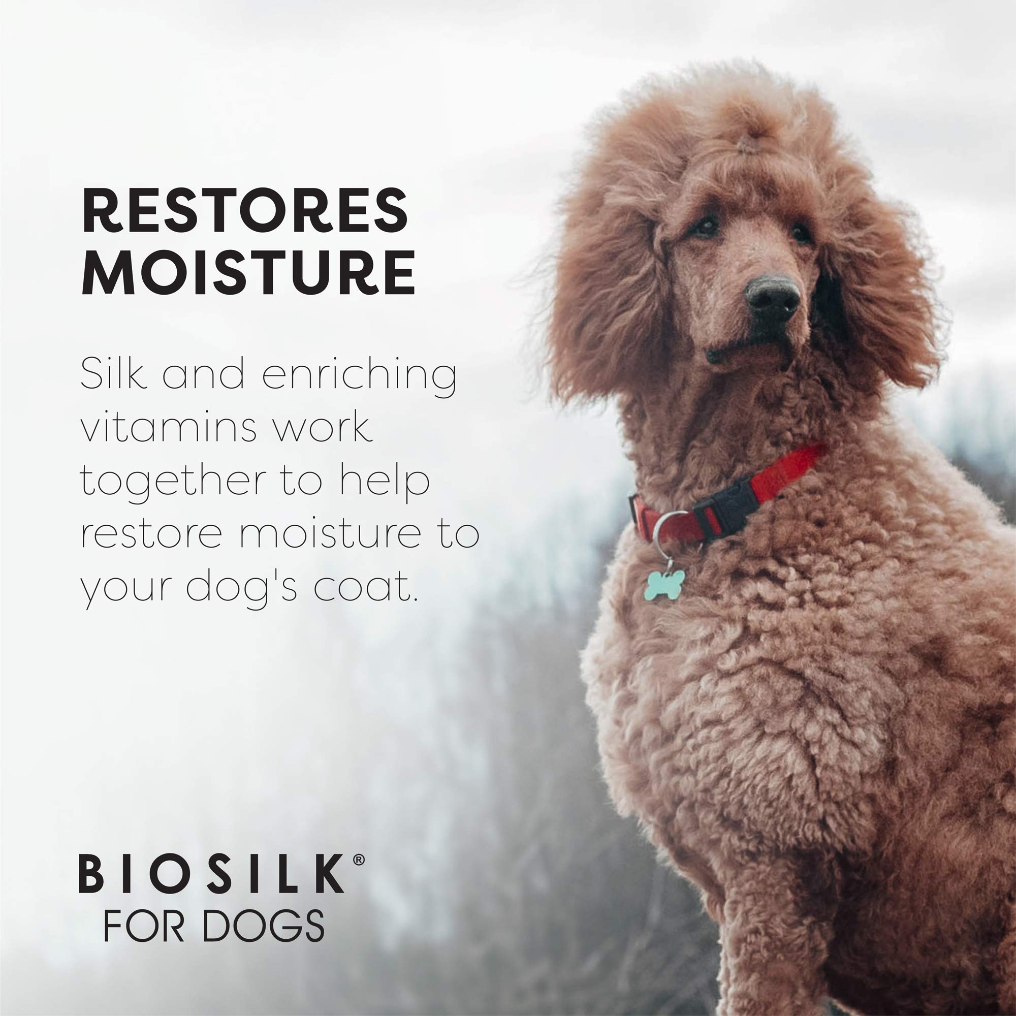 **BioSilk for Dogs Silk Therapy Shampoo with Coconut Oil – Natural Conditioning & Detangling Spray for Pets – 12 Pack | Gentle Cleansing for Soft, Shiny Fur – Perfect for Bath Time & Grooming**