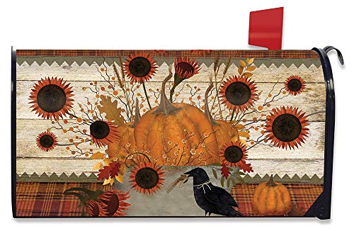 10 - Pumpkins