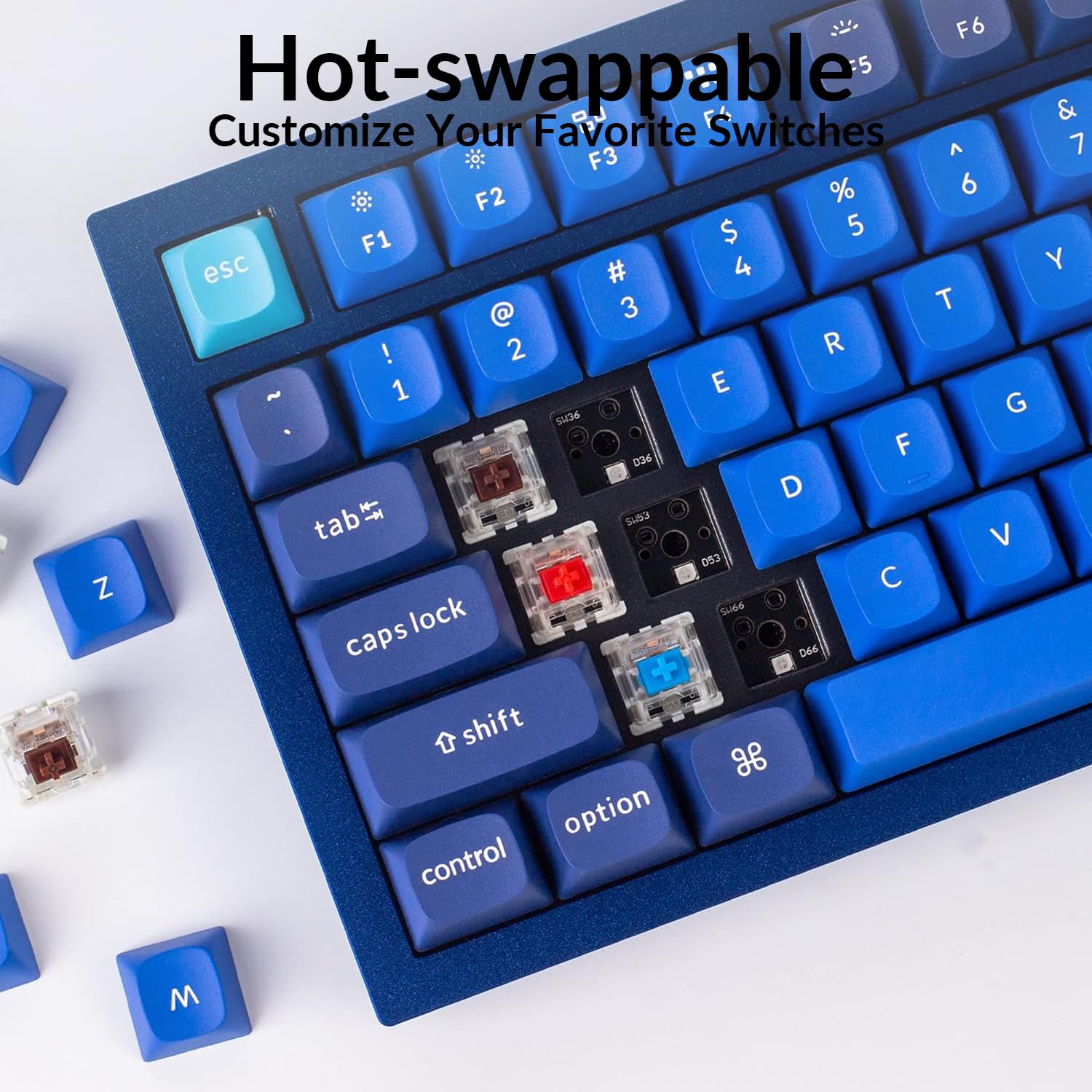 Keychron Q3 Wired Custom Mechanical Keyboard - TKL Tenkeyless Layout with Knob, QMK/VIA Programmable, Hot-Swappable Gateron G Pro Red Switches, Double Gasket Design for Mac/Windows/Linux (Blue) | Perfect for Gaming, Coding & Office Work
