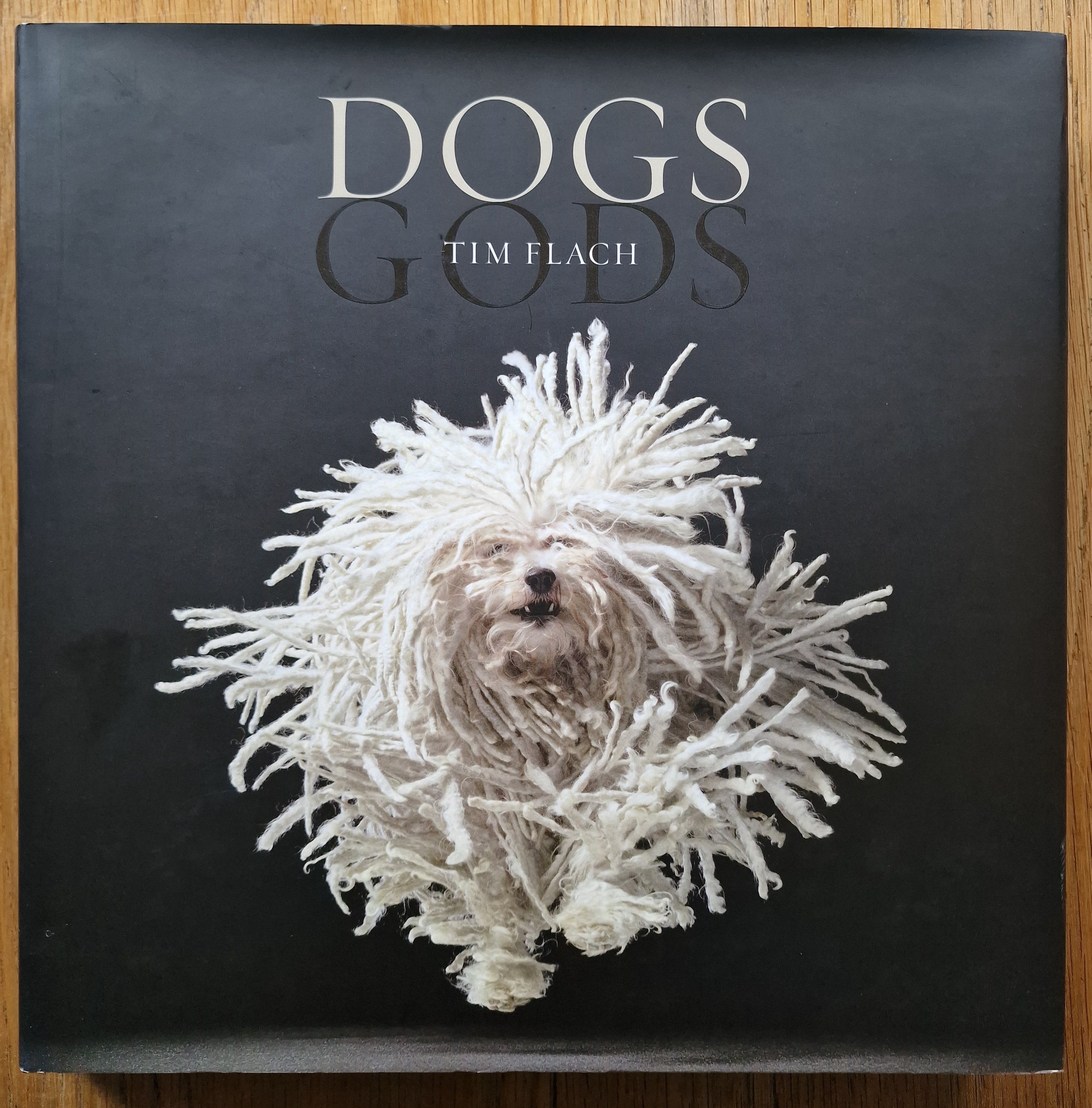 Dog Gods - Premium Pet Statues & Figurines for Home Decor, Gifts, and Spiritual Blessings | Perfect for Pet Lovers, Home Altars, and Garden Decorations