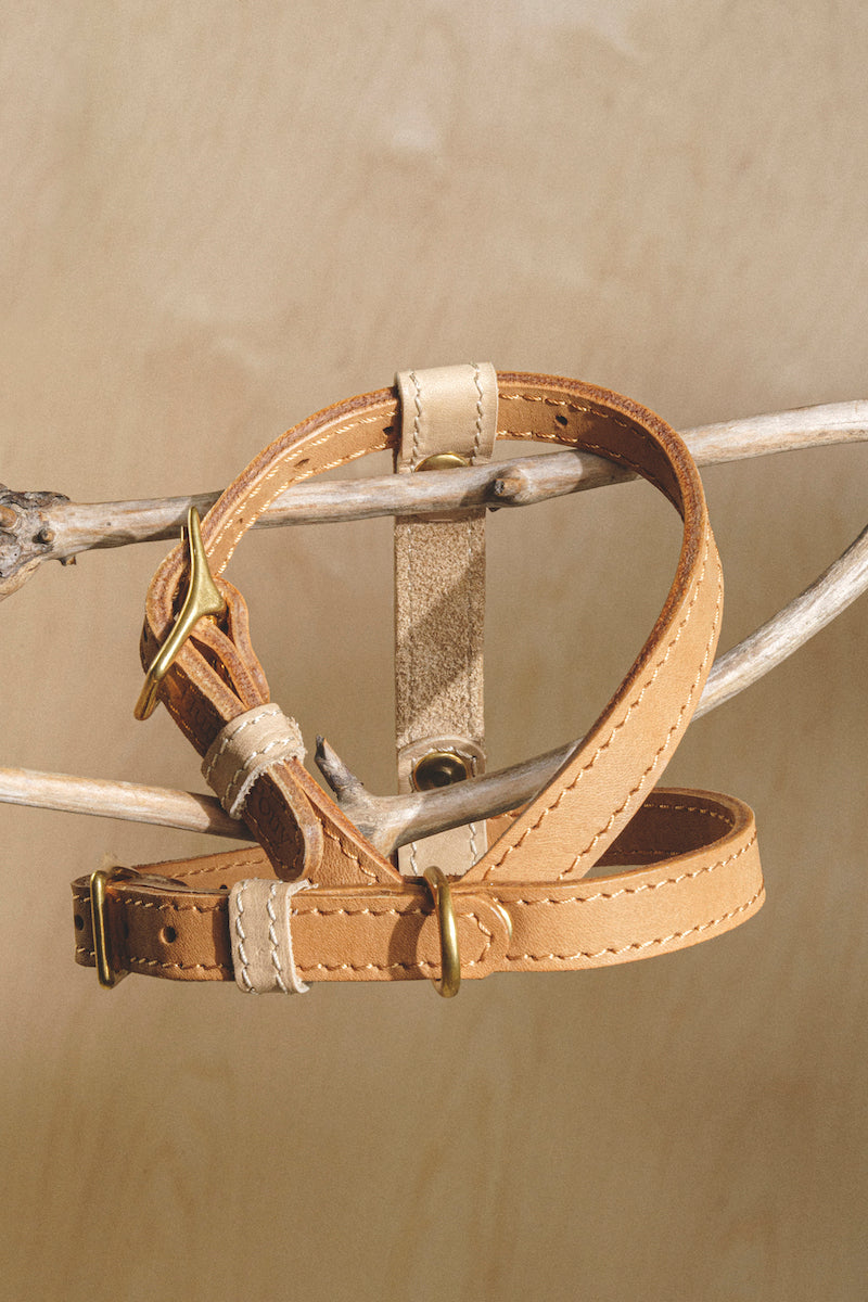 Walkony Pony Harness - Ginger & Beige Color - Perfect for Equestrian Training, Riding, and Horse Shows