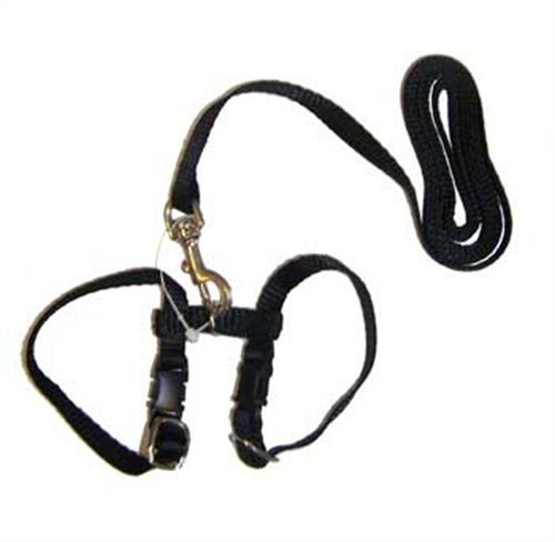 Marshall Pet Harness & Lead - Black for Dogs & Cats