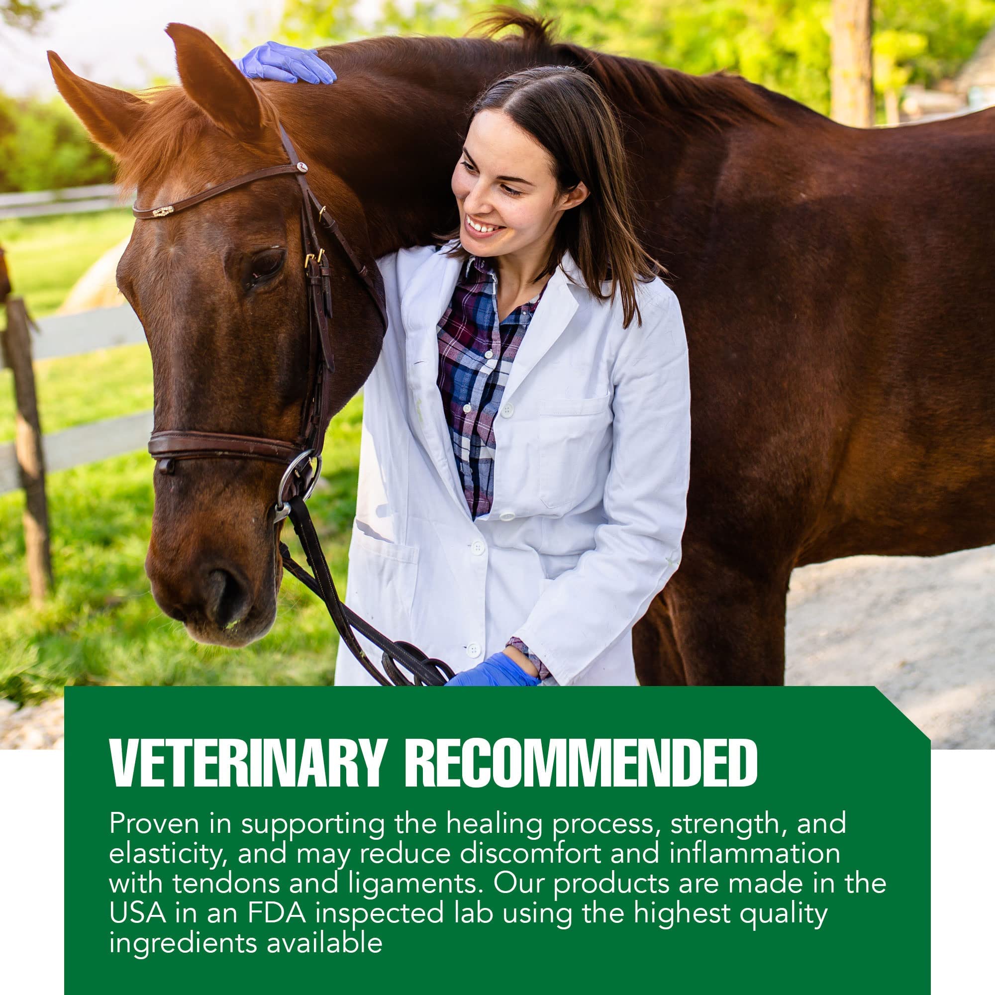 Total Tendon Repair Powder Supplement for Horses – Advanced Formula with Vitamin C, Collagen & MSM for Joint, Ligament & Tendon Support – Promotes Elasticity & Strength – 30 Day Supply – Ideal for Performance Horses & Recovery