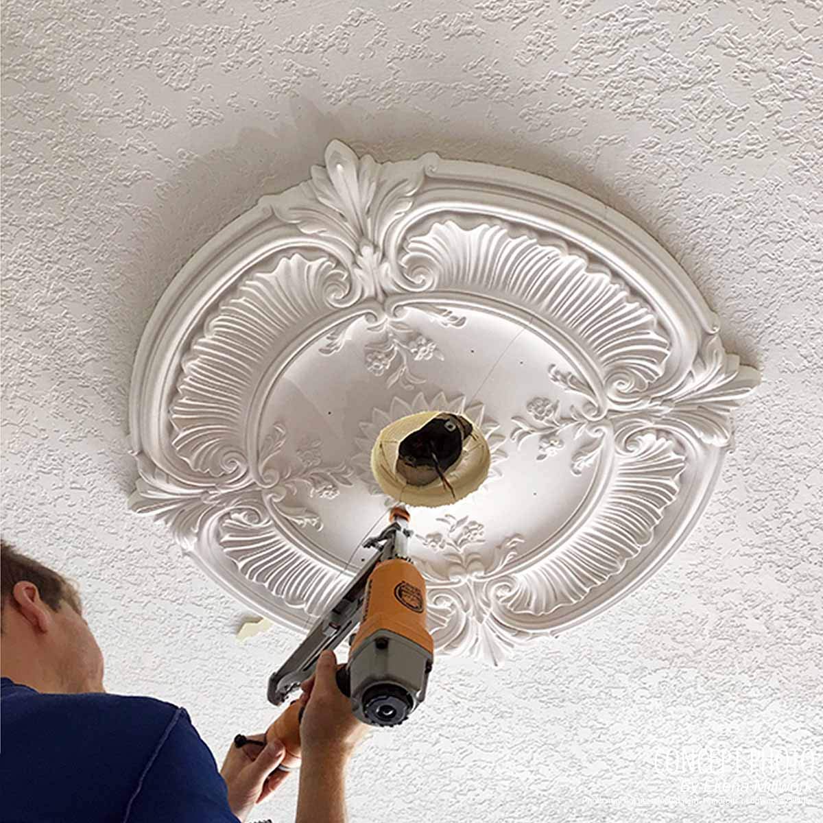 Ekena Millwork CM24SWFBS Swindon Ceiling Medallion - 24