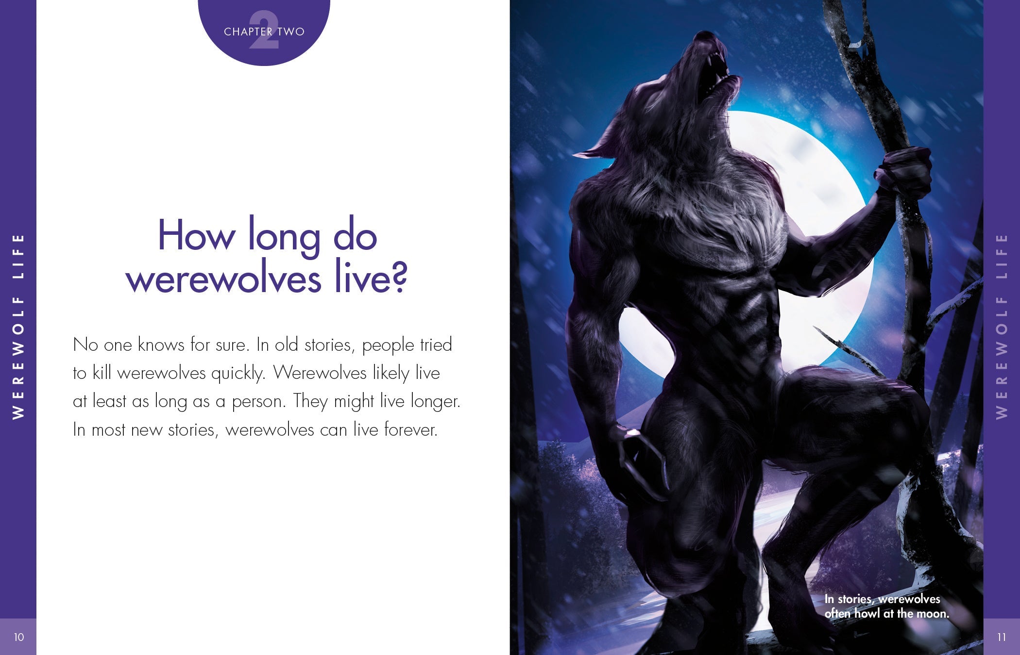 Werewolf Books & Merchandise - Explore the Mysteries of Werewolves | Perfect for Halloween, Cosplay & Fantasy Lovers