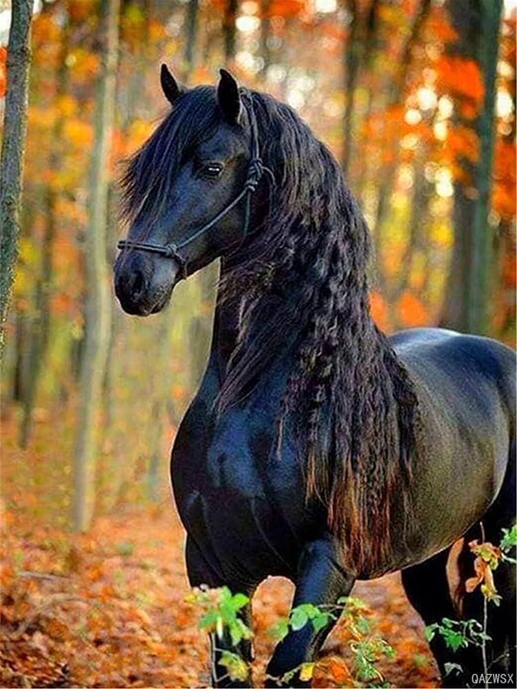 5D Diamond Painting Kit - DIY Horse Animal Cross Stitch Rhinestone Art, 30x40cm Crystal Embroidery Canvas for Home Wall Decor | Perfect for Relaxation, Gifts & Craft Lovers