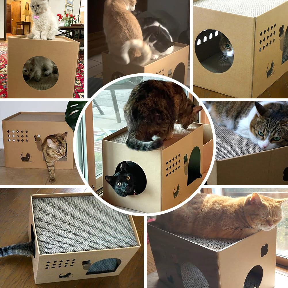 Durable Cat Cardboard House with 2 Scratching Pads - Large Cat Scratcher Bed & Lounge for Indoor Cats - Corrugated Detachable Cat Scratcher Box (Cactus Design) - Perfect for Playtime, Napping & Claw Maintenance