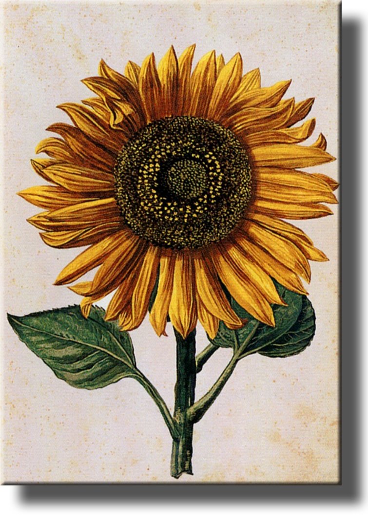 Sunflower Painting on Stretched Canvas - Handmade Wall Art Decor Ready to Hang - Perfect for Living Room, Bedroom & Office Decor