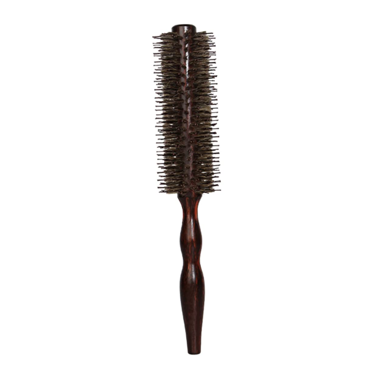 Beautifu Nylon Bristle Hair Brush - Detangling & Styling Comb for Curly Hair, Round Roller Brush with Soft Bristles for Smooth Curls - Perfect for Salon, Home Use & Travel
