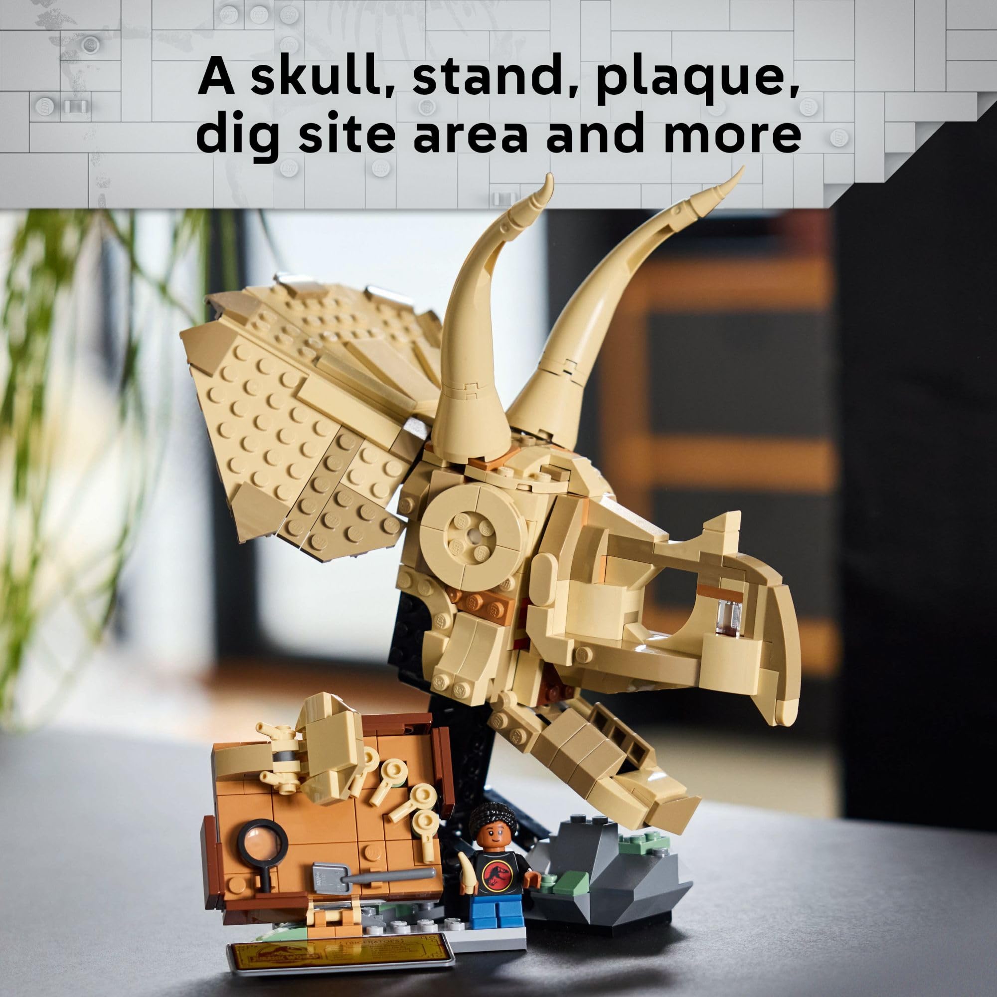 LEGO Jurassic World Triceratops Skull Dinosaur Fossil Building Set - STEM Toy for Kids Ages 9+ | Creative Model Display Kit | Perfect Birthday Gift for Boys & Girls (Set 76969) | Dinosaur Lovers & Collectors | Home Decor & Educational Play