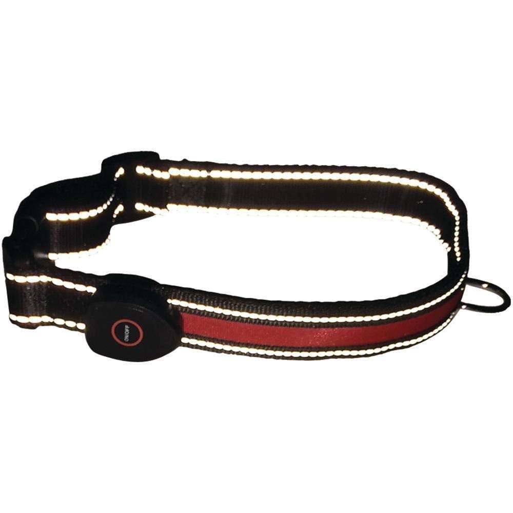Waterproof LED Dog Collar with 7 Color Modes - Small Size Reflective Safety Collar for Night Walking, Jogging & Outdoor Adventures