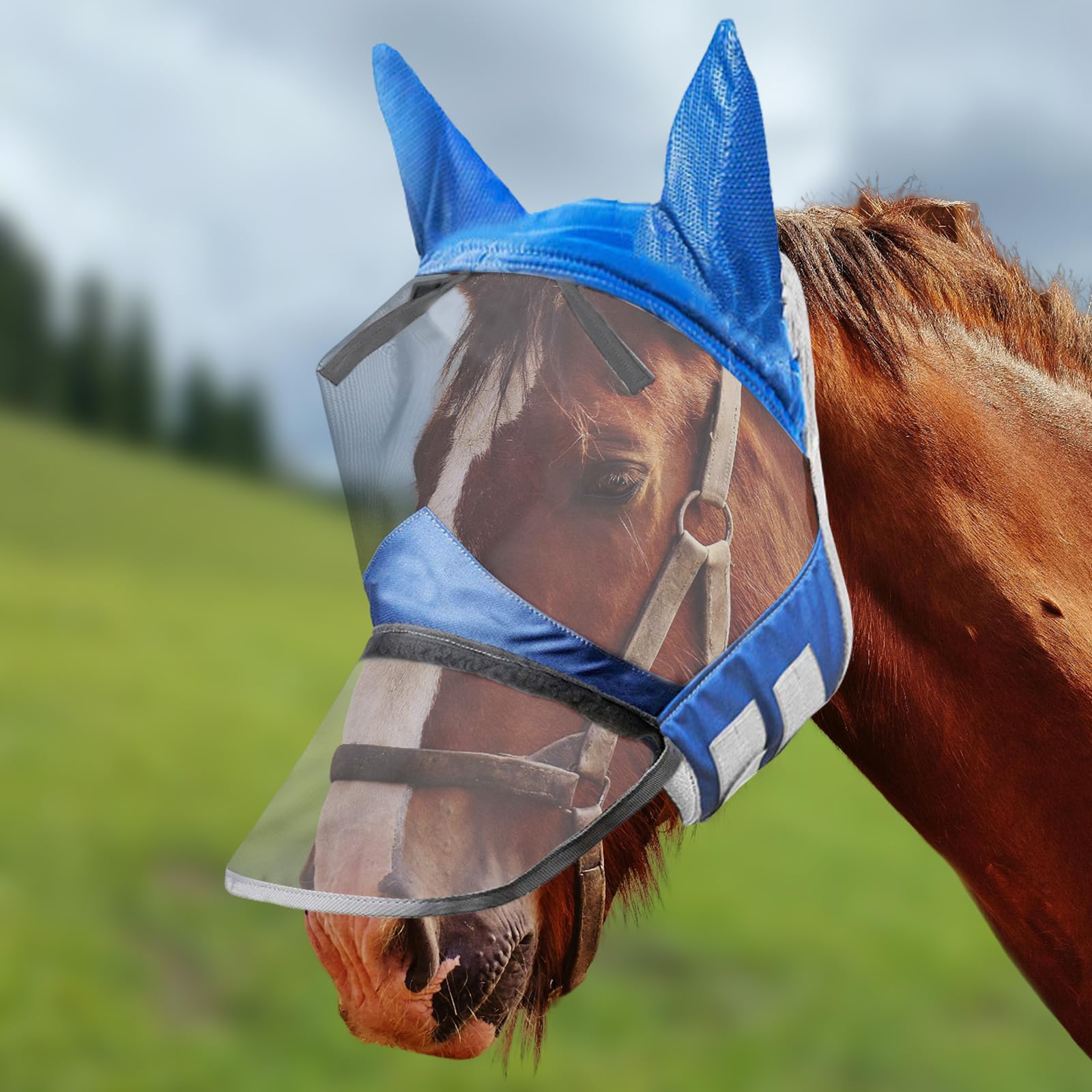 Premium Horse Fly Mask with Nose Cover & Ears Protection - Soft Mesh Fabric with Purple Trim for Summer - Blue Size L | Ideal for Pasture, Riding & Show Protection