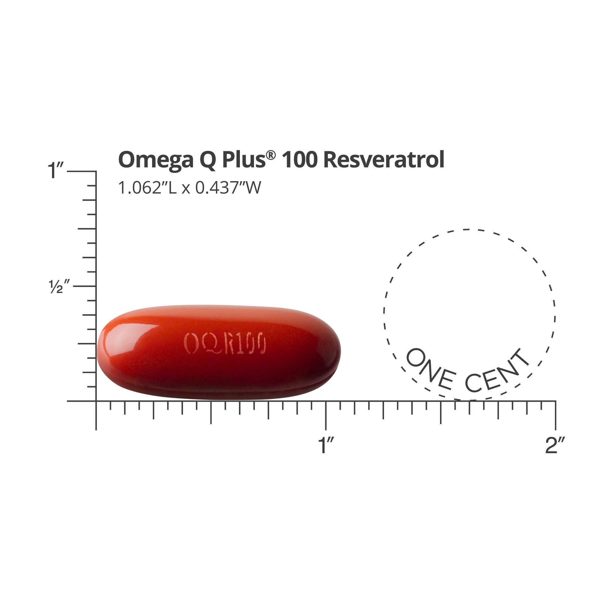 Dr. Sinatra Omega Q Plus 100 Resveratrol – Premium Omega-3 Fish Oil Supplement with 100mg CoQ10 & Resveratrol for Heart Health, Antioxidant Support & Cardiovascular Wellness (180 Softgels) – Ideal for Adults Seeking Heart & Brain Health Support