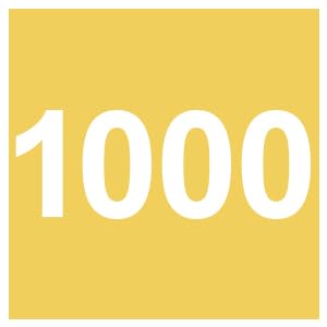 3.0 Yellow 1000G