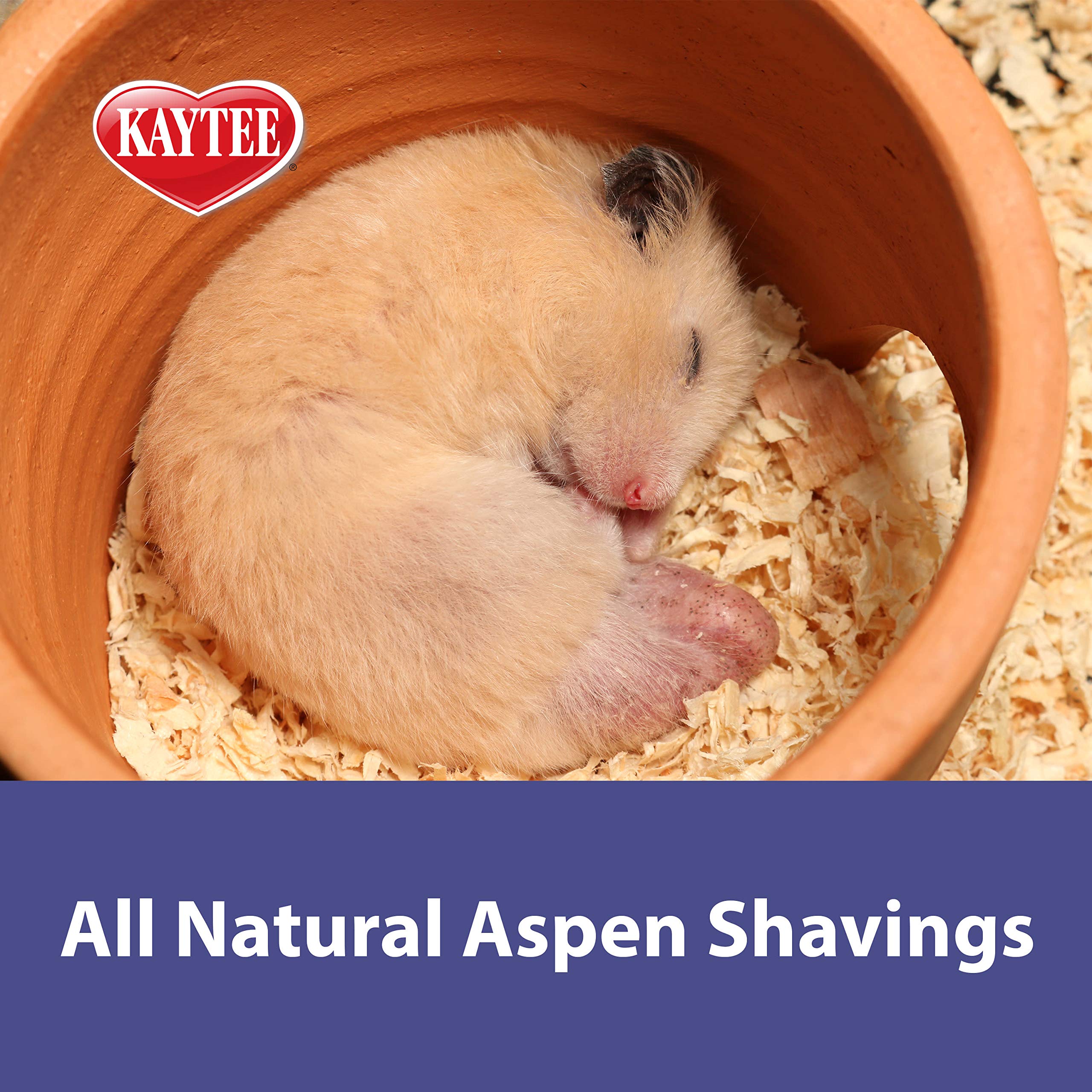 Kaytee Aspen Small Pet Bedding - 113.3 Liters (30 Quarts) | Natural Wood Shavings for Hamsters, Guinea Pigs & Rabbits | Odor Control & Absorbent Small Animal Cage Liner for Comfortable Habitat