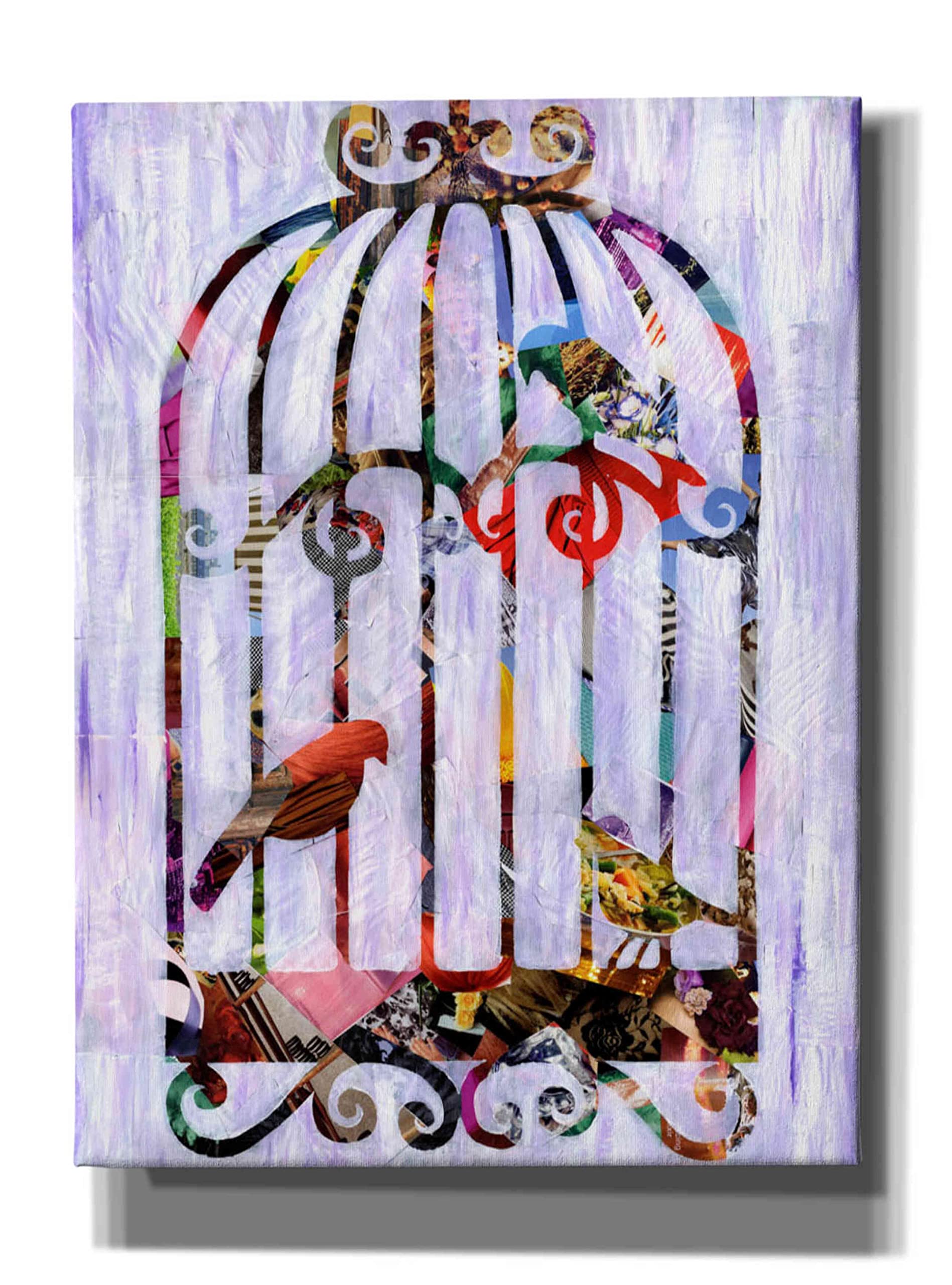 Epic Graffiti 'Bird Cage' by Artpoptart - Large 40x54 Inch Canvas Wall Art for Living Room, Bedroom & Office Decor - Modern Urban Street Art Painting