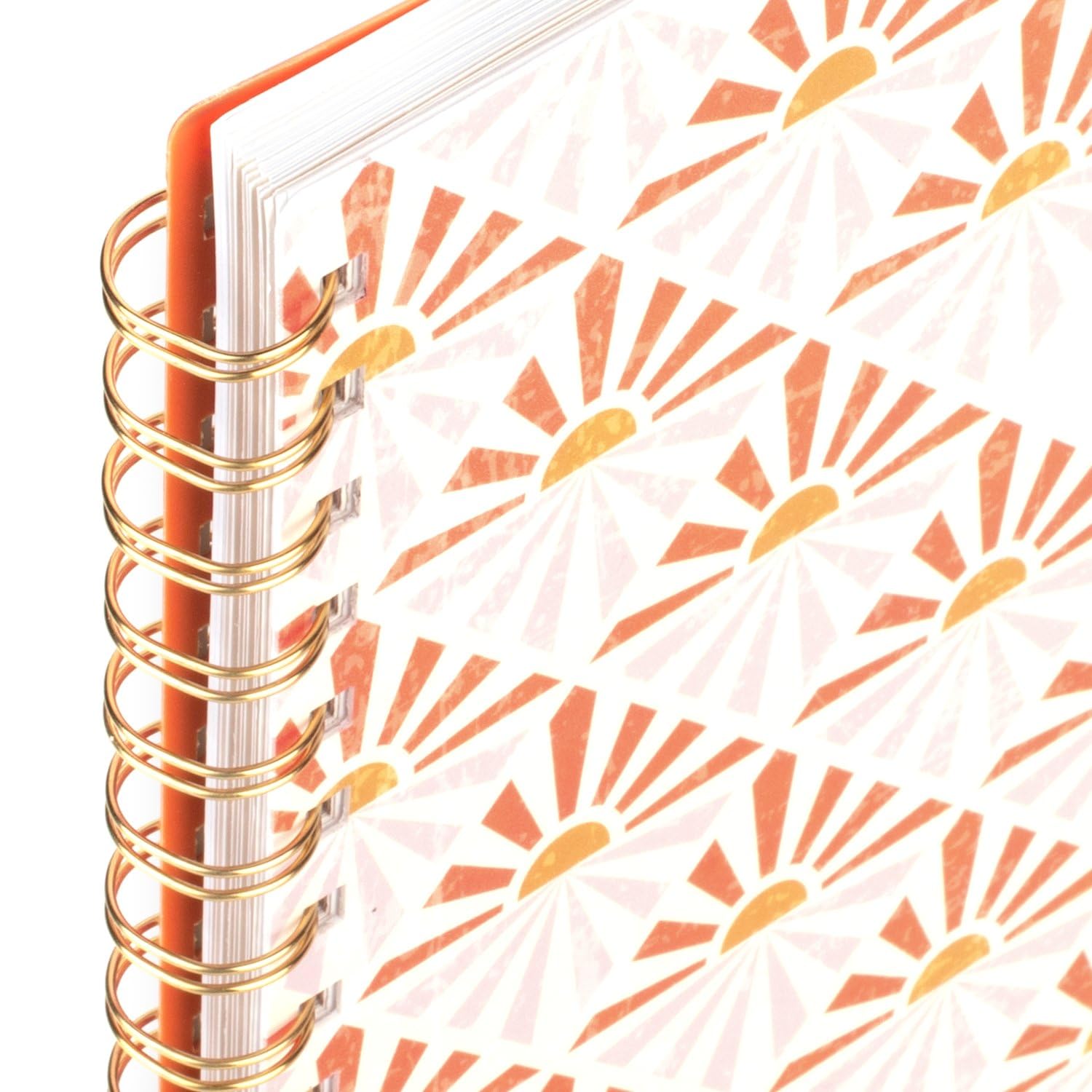 **Cambridge Planner 2024-2025 Academic Year - Weekly & Monthly Large Planner (8.5