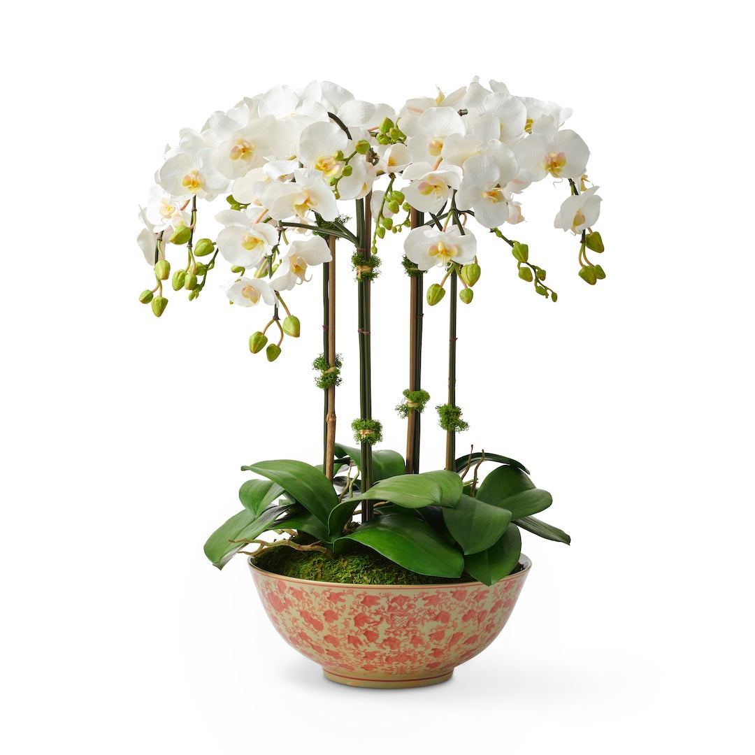 Longlife Bowl with Fresh Orchid - Elegant Home Decor for Living Room, Office & Wedding Centerpieces