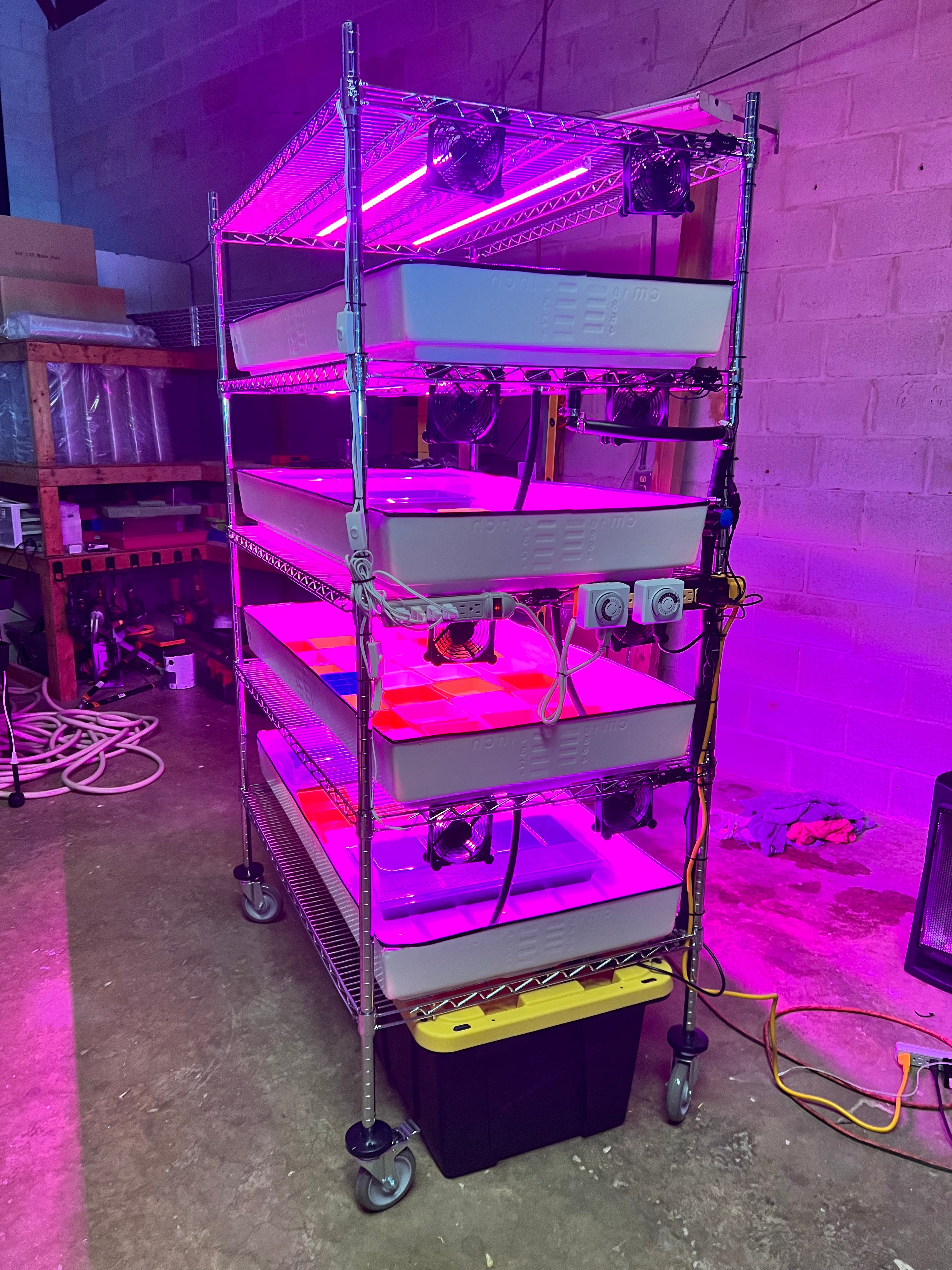 School Hydroponics Grow Rack - Complete Hydroponic System for Classroom STEM Education | Indoor Gardening Setup for Students