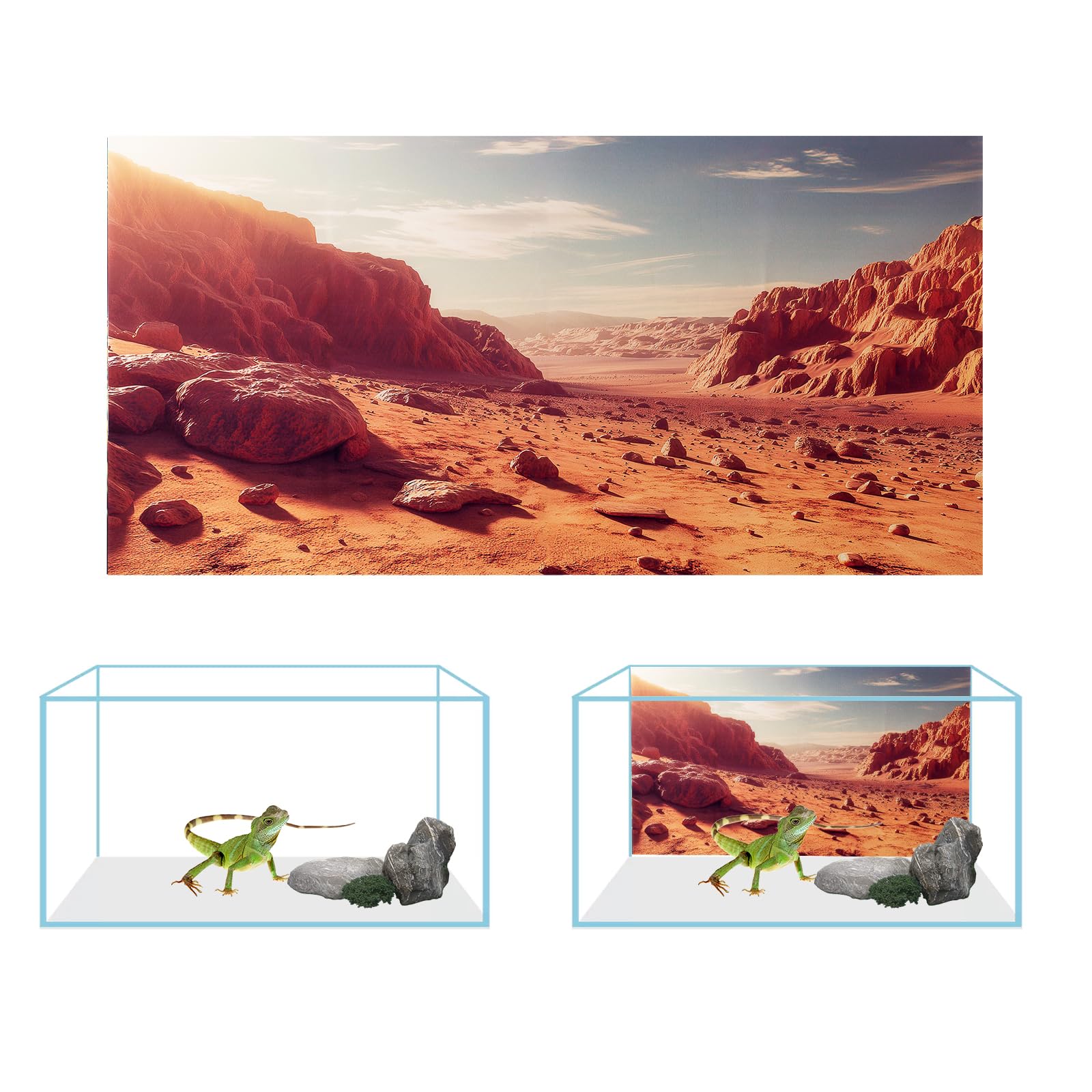 3 Pack Terrarium Background for Reptile Tanks - 36x18 Inches Polyester Cloth with Gobi Sunshine Cactus & Green Tree Fern Stream Design - Perfect for Bearded Dragon, Gecko, Snake Habitats and Terrarium Decoration