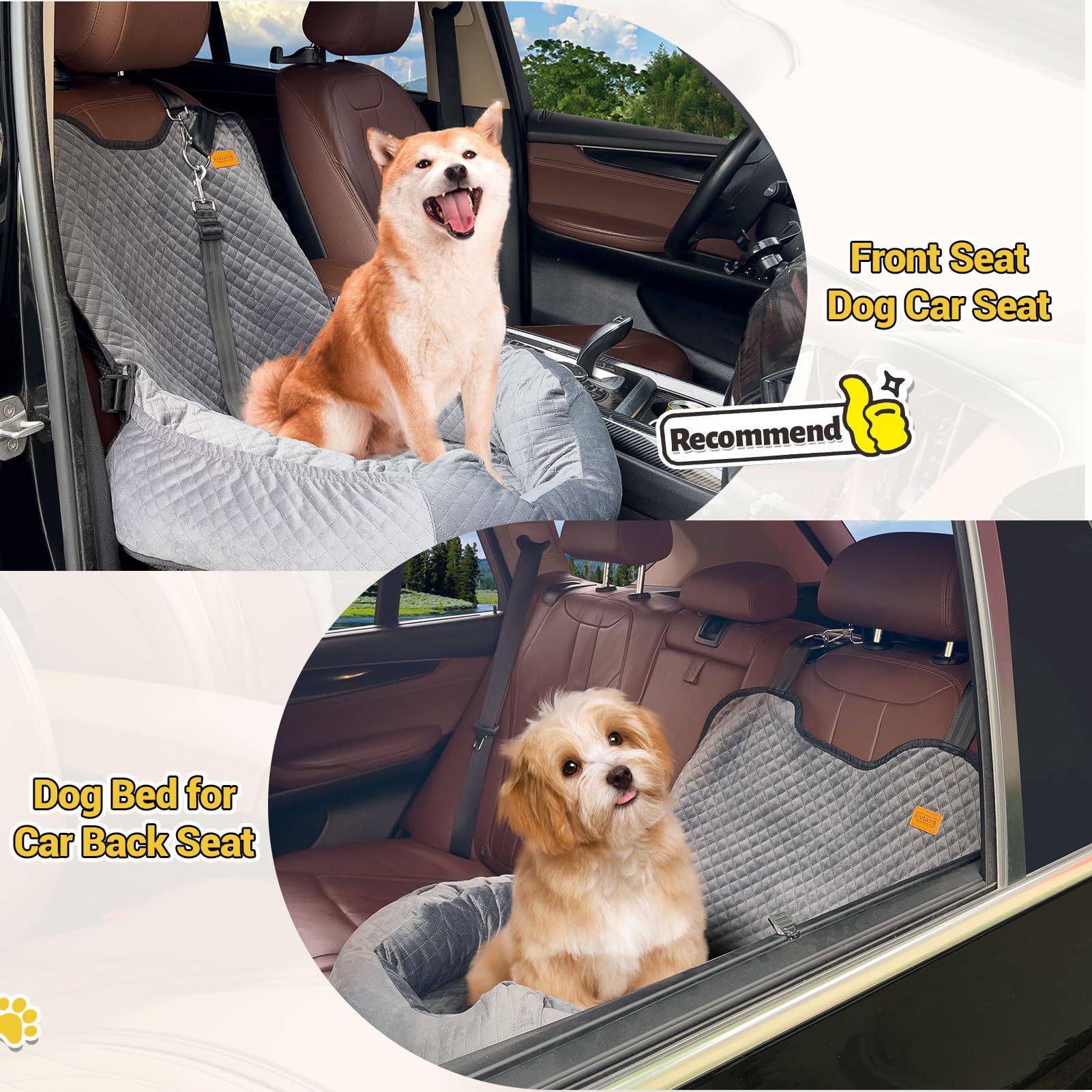 Washable & Detachable Dog Car Seat for Small Dogs Under 35lbs - Travel Booster Seat with Storage Pockets & Safety Belt - Perfect for Road Trips, Vet Visits & Daily Commutes